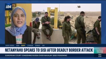 Dalia Ziada interview on i24 News TV to comment on EgyptIsrael border shooting