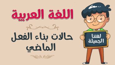 اللغة العربية  حالات بناء الفعل الماضي