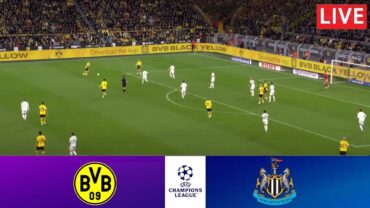 Borussia Dortmund vs Newcastle United  2023 Champions League  Match Highlights