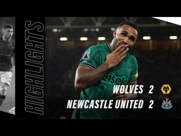 Wolves 2 Newcastle United 2  Premier League highlights