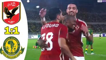 اهداف مباراة الاهلى و يانج افريكانز 1/1  هدف قـ ـاتل ليانج افريكانز