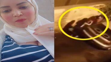 البنت قلعت البنطلون وبتعمل حمام فى الشارع..فيديو تصوير مخفي كشف القصة بالكامل