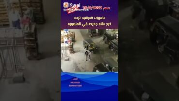 ذبح فتاه جديده فى المنصورة