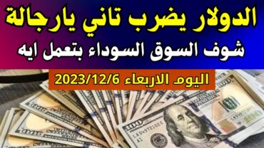 الدولار فى السوق السوداء  اسعار الدولار والعملات اليوم الاربعاء 6122023 في مصر