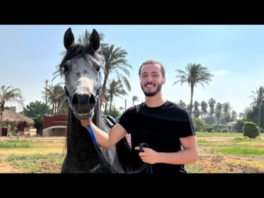 تعلمت ركوب الخيل! 🏇