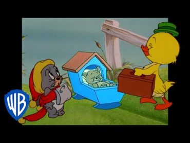 Tom & Jerry  Cutest Characters in Tom and Jerry   Classic Cartoon Compilation  @wbkids​