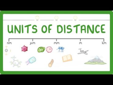 GCSE Biology  How to convert between nm, um, mm, m and km 4