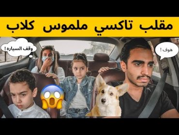 🔴تحذير المقطع يموتت ضحك😂 🔴 مقلب تاكسي يقعد ينبح فالمشوار🐶💔مع ميمو ومها