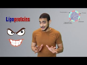 Lipoproteins  شرح بالعربي