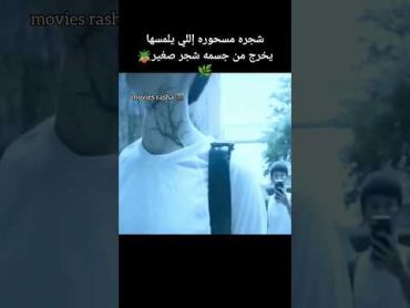 شجره مسحوره إللي يلمسها يخرج من جسمه شجرmovie ملخص فيلم movies مراجعة فيلم moviereview shorts