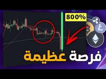 اهداف قد تتجاوز 400% في العملات البديلة ! توقعات اتجاه السوق