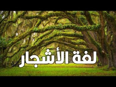 حقائق مذهلة عن النبات  أقدم المخلوقات الحية