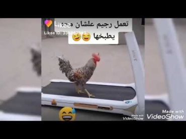 ضحك السنين هههههههههه😄😄😄😄