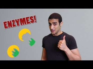 Enzymes  شرح بالعربي