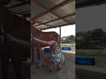 شاهد هذه امرأة ماذا فعلت مع حصان لا تصدق للكبار فقط Horse with girl love viral love