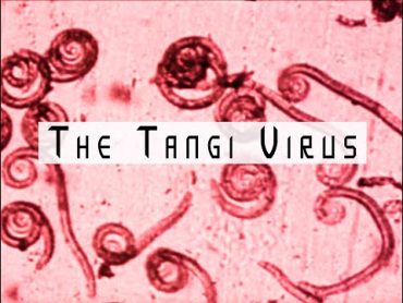 Analog Horror  The Tangi Virus