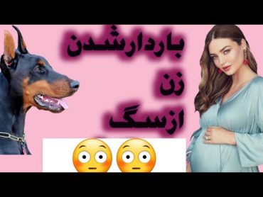 زنی که با سگ خودش رابطه داشته و در اخر باردار شد😳😳