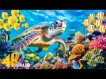 Ocean 4K  Sea Animals for Relaxation, Beautiful Coral Reef Fish in Aquarium (4K Video Ultra HD) 7