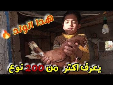 هدا الولد يعرف اكتر من 200 نوع حمام  🤔😱🔥