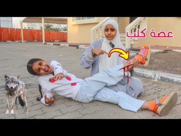 بنت عضها كلب   ! شوفوا شو لي صار! سوالف بناتي