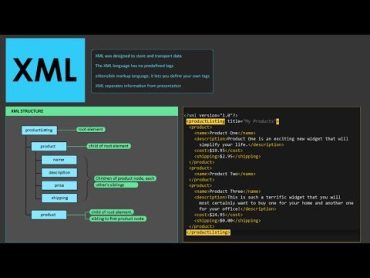 XML Tutorial for Beginners  What is XML  Learn XML