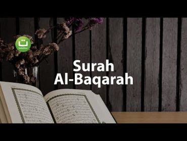 Juz 1 Surah Al Baqarah سورة البقرة  Abu Usamah ᴴᴰ