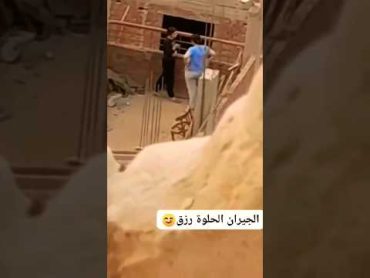 فضيحة بنات المغرب قحبه سكس السعودية تيك توك لاتنسى الاشتراك