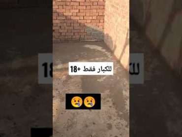 للكبار فقط