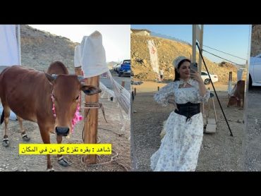 سارة مهند  الـمفاجعة 😭🐄