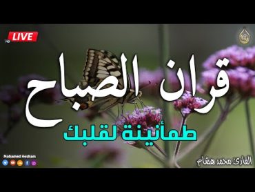 قرآن الصباح ☀️ قرآن كريم بصوت جميل جدا جدا يريح القلب ❤️ القارئ محمد هشام