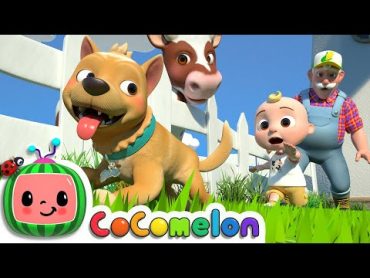 Bingo (Farm Version)  CoComelon Nursery Rhymes & Kids Songs