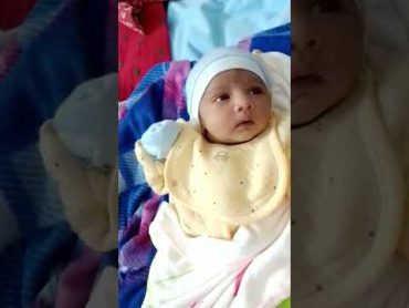 Cute baby😍❤️ newbornbaby shortsshort lovemoment viral