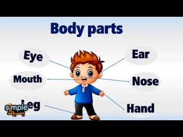 تعليم الاطفال اعضاء جسم الانسان باللغة الانجليزية  the Body Parts