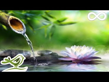 8 Hours of Relaxing Sleep Music • Sleeping Music, Relaxing Music, Fall Asleep Fast