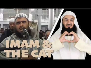 The Cat & the Imam 😺  Mufti Menk Responds