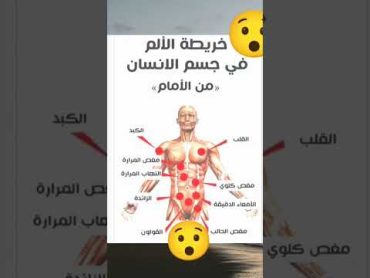 خريطة الآلام في جسمك من الاأمامتانجو shorts معلومات فايقة السرعة