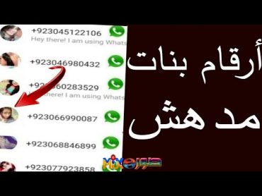 افضل تطبيق للحصول علا ارقام بنات واتساب 2022  Girls WhatsApp numbers اشترك بالقناة