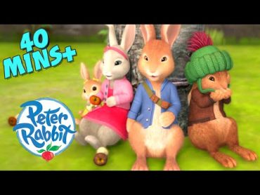 Peter Rabbit  Sweet Friendship Moments  Cartoons for Kids