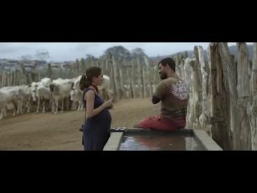 Trailer de Neon Bull — Boi Neon (HD)