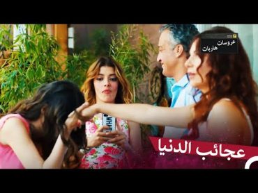 كائنات تقبل يد سناء!  عروسات هاربات