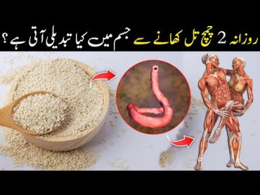 Til Khane Ke Fayde  Sesame Seed (Til) Benefits  تل کھانے سے کیا ہوتا ہے؟