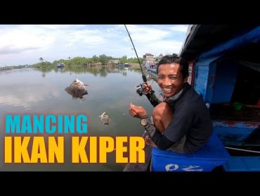 Ikan Merang2 Banyak banget // Mancing joz gandoz