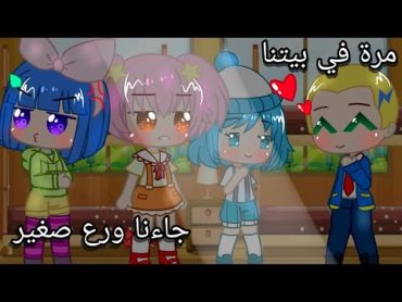 مرة في بيتنا جاءنا ورع صغير 😂بي باتل بيرست