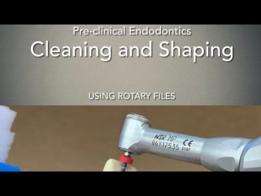 Cleaning and Shaping, Using Rotary Files