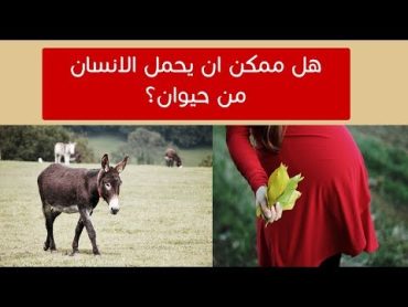 تزاوج البشر مع الحيوانات .. ما بين الأساطير و الحقائق العلمية !