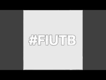 FIUTB