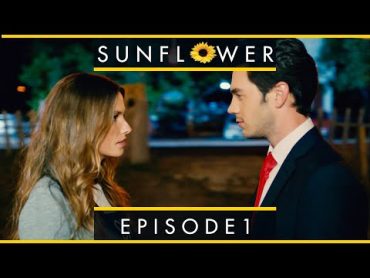 Sunflower  Episode 1