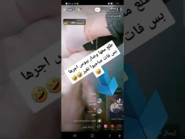 يبوس اجرها