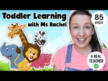 Toddler Learning with Ms Rachel  Learn Zoo Animals  Kids Songs  Educational Videos for Toddlers