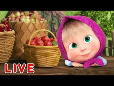 Masha and the Bear 🎬💥 LIVE STREAM 💥🎬 Cartoon live best episodes ☀️ Маша и Медведь прямой эфир